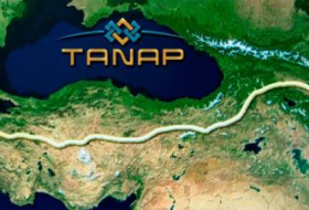 Эрдоган будет склонять Иран в пользу TANAP